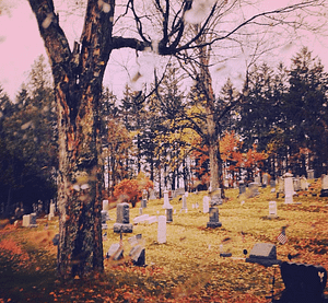 Cemetery by Laurie Farrington