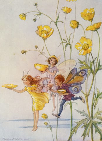 Book Illustration of Fairies with Yellow Flowers by Margaret Winifred Tarrant