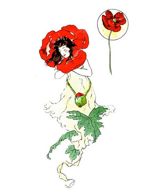 Poppy from Flower Folk book by Laura Coombs Hills via Wiki Commons