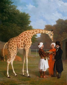 The Nubian Giraffe by Jacques Laurent Agasse