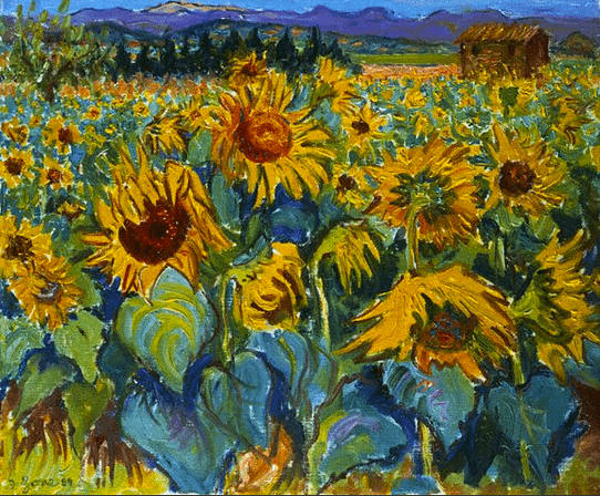 Sunflowers in Bonnieux, France by Frederick Gore