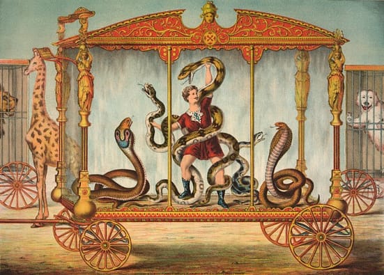 The Snake Wagon